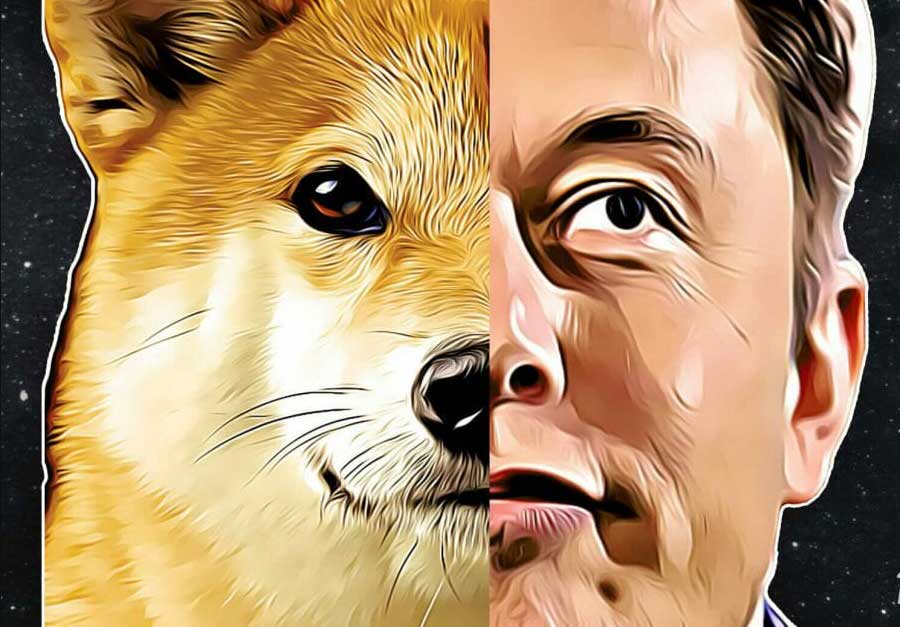 Dogecoin Crypto